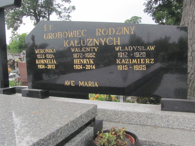 Walenty Kałużny 1872 Turek - Grobonet - Wyszukiwarka osób pochowanych