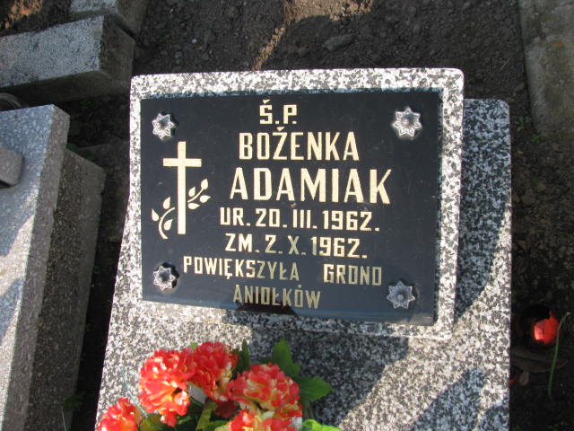 Bożena Adamiak 1962 Turek - Grobonet - Wyszukiwarka osób pochowanych