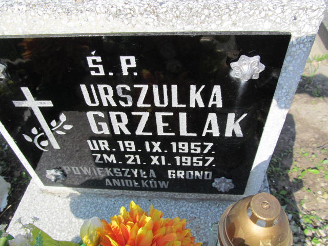 Urszula Grzelak 1957 Turek - Grobonet - Wyszukiwarka osób pochowanych