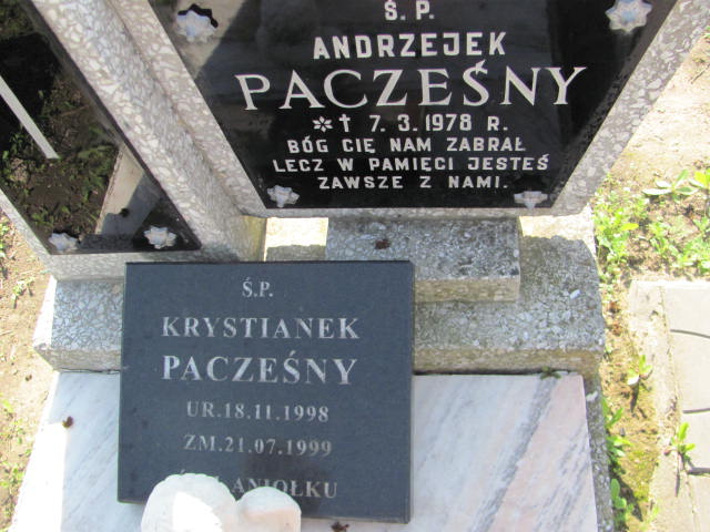Andrzej Pacześny 1978 Turek - Grobonet - Wyszukiwarka osób pochowanych